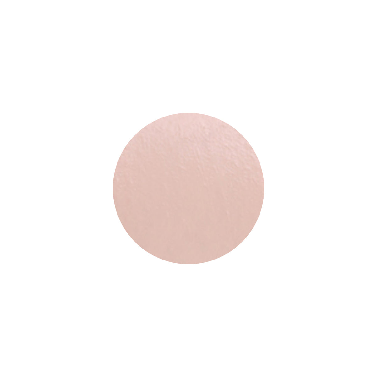THE SAEM Cover Perfection Fixealer 6.5g 3 Colors