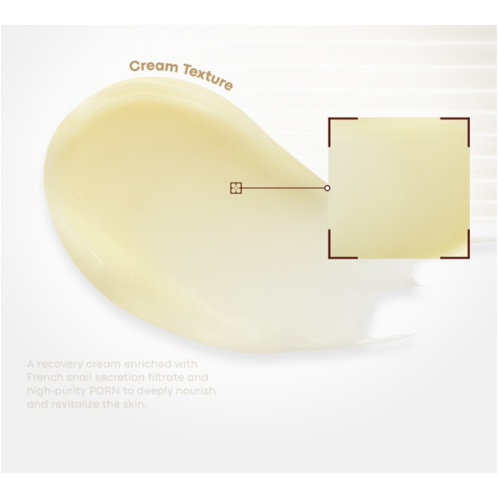 TONYMOLY Snail PDRN Recovery Cream 50ml | DODO SKIN – DODOSKIN