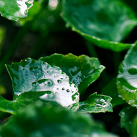 TOUN28 Standard Cica Aloe Soothing Gel 300g