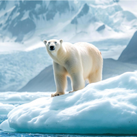 TREEANNSEA Arctic Biome Hyaluron Serum 50ml