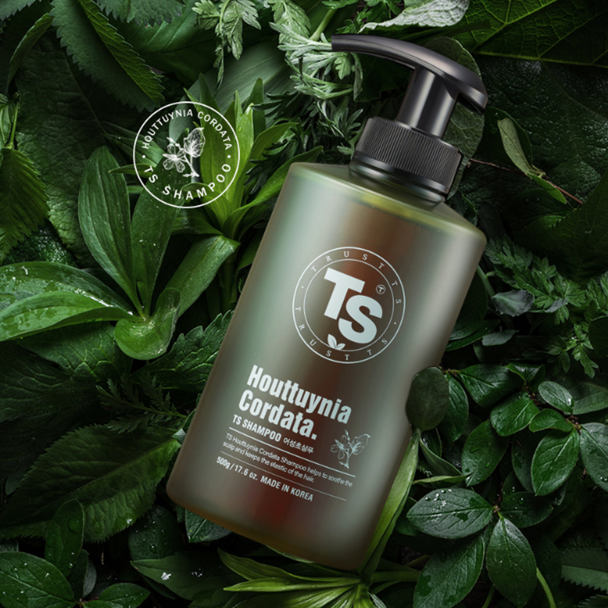 TS Houttuynia Cordata Shampoo 500g