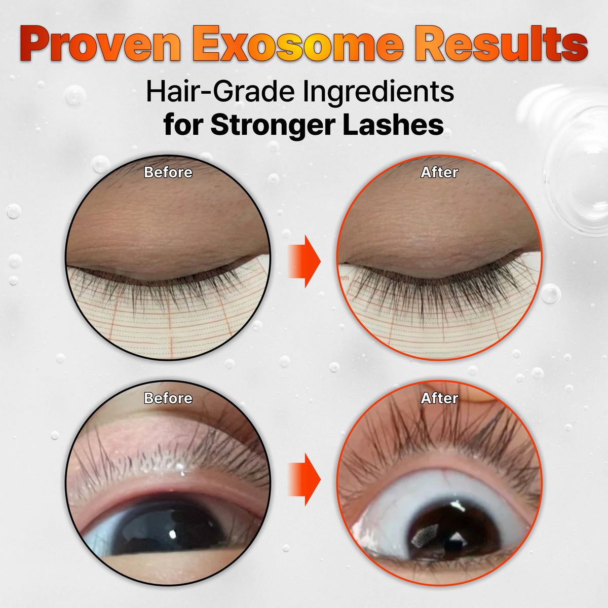 lilyeve Grow:Turn Exosome Dual Lash Serum 8ml