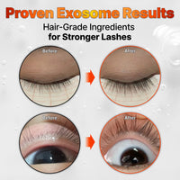 lilyeve Grow:Turn Exosome Dual Lash Serum 8ml