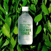 DERMA FACTORY Edlp Houttuynia Cordata 84% Essence Toner 300ml