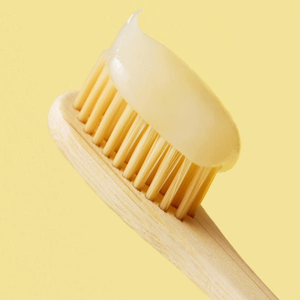 AROMATICA Lemon Clove Scent Gum Care Plus Toothpaste 120g