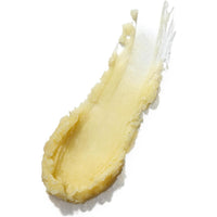 WELEDA Everon Lip Balm 4.8g