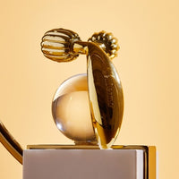 WellDerma Face Lifting Compact Roller Gold 1ea