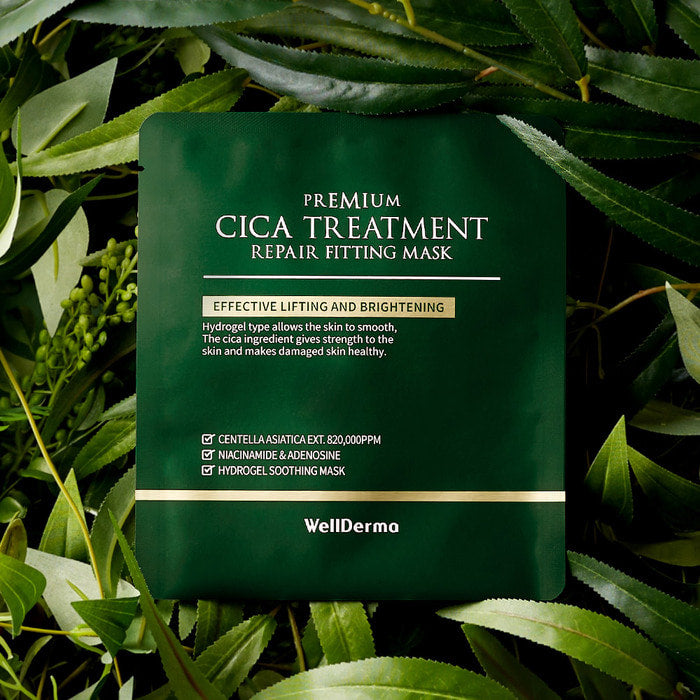 WellDerma Premium Cica Treatment Repair Fitting Mask 25g *4ea (1BOX)