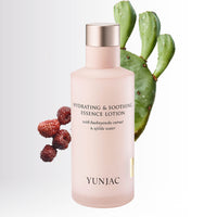 YUNJAC Hydrating & Soothing Essence Lotion with baeknyoncho extract & ujildu water 125ml