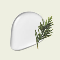 YUNJAC Whole Plant Effect Scented Body Mist