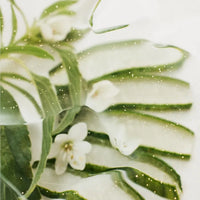 acheminee Pore Lifting Ampoule 50ml