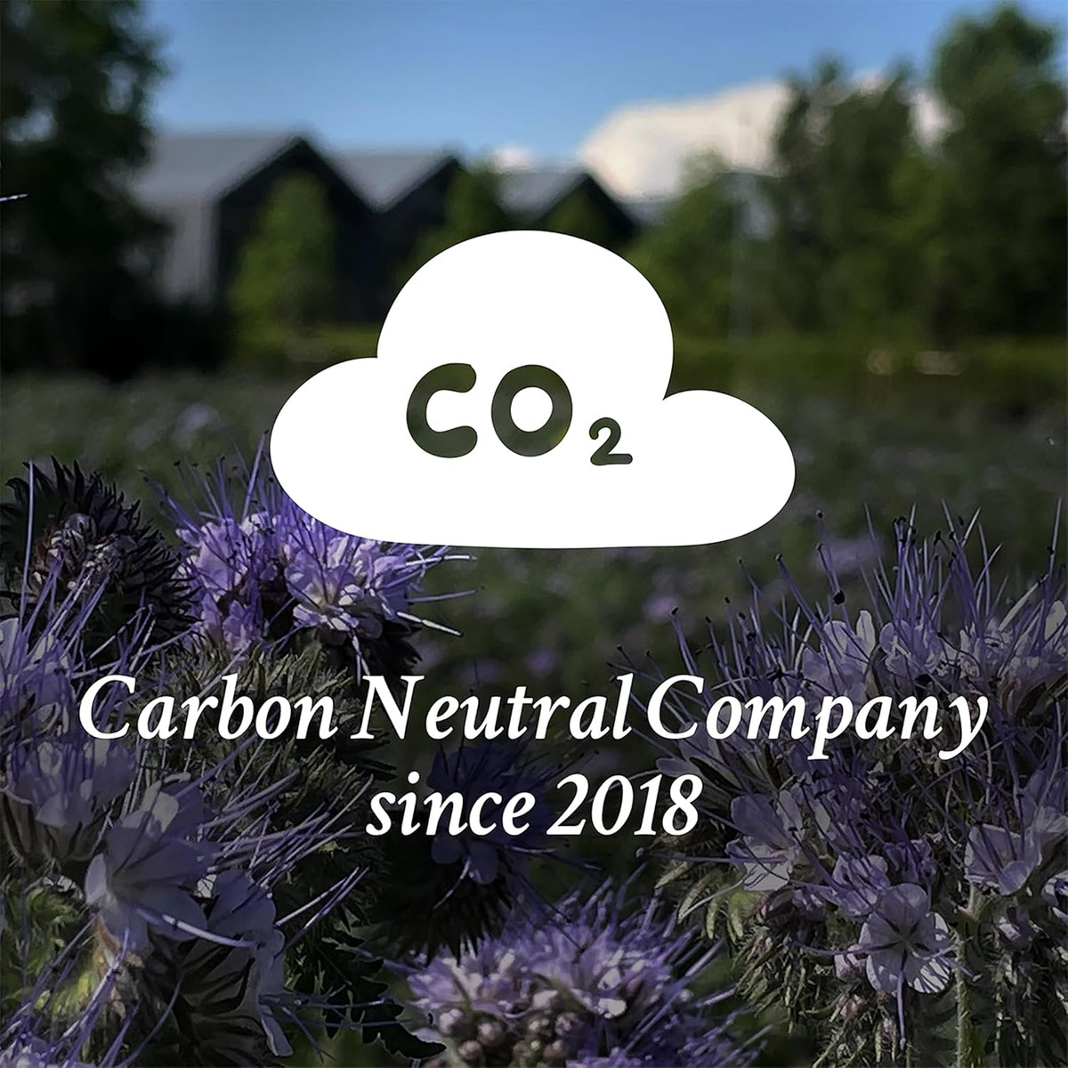 davines Energizing Gel 150ml