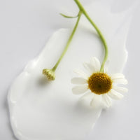 essenherb Anytime Quick Multi Cream 100ml