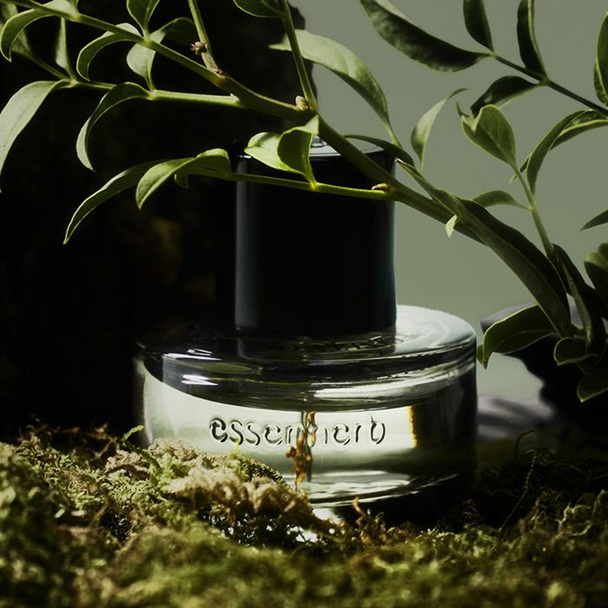 essenherb Eau de Parfum Forest Oud 30ml