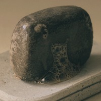 grandidier Dazzling Black Tea Ritual Bar C02. Rose Jojoba