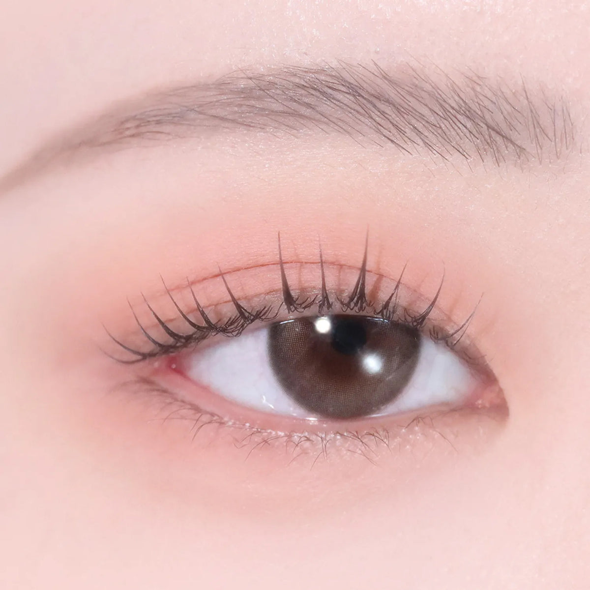 hince Single Eyeshadow 14 colors