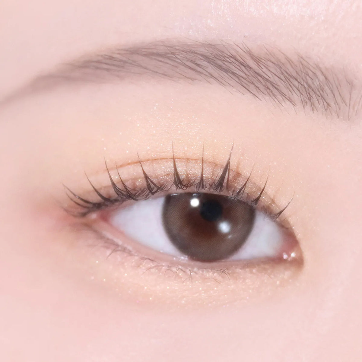 hince Single Eyeshadow 14 colors