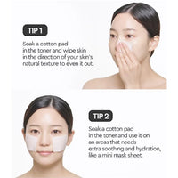 (Matthew) Dewytree Heartleaf 100 Toner 200ml - DODOSKIN