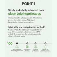 (Matthew) Dewytree Heartleaf 100 Toner 200ml - DODOSKIN