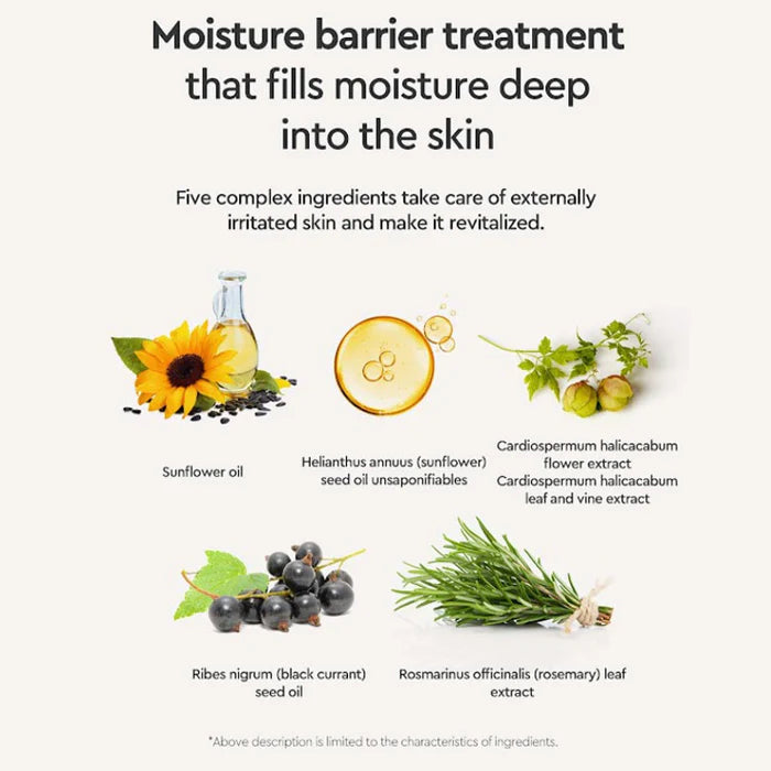 (Matthew) Dewytree Pick And Quick Full Mask 300ml (30ea) - DODOSKIN