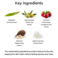 (Matthew) Dewytree Urban Shade Cover And Fit Sunscreen SPF 50+ PA++++ 40ml - DODOSKIN