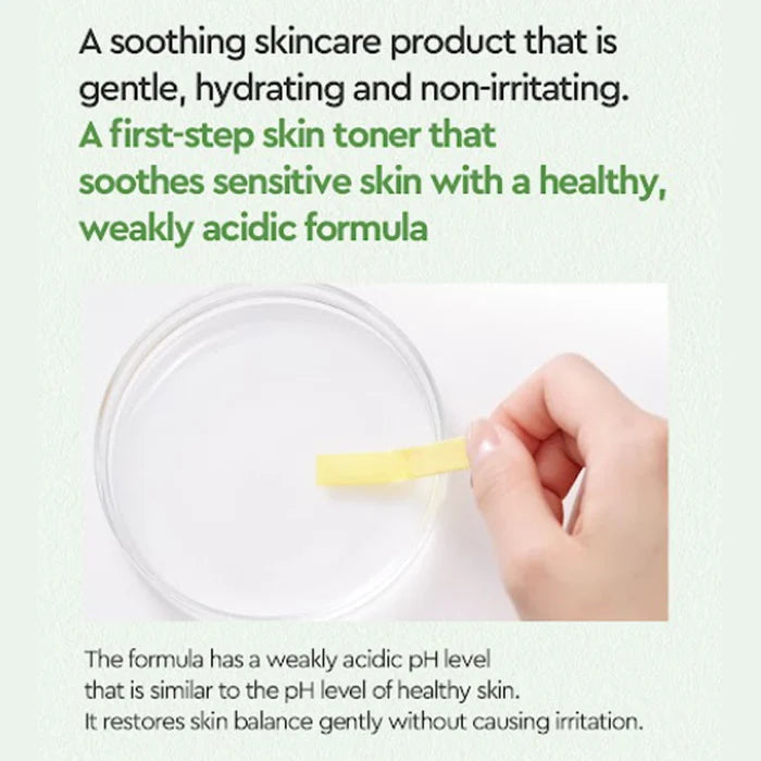 (Matthew) Dewytree Heartleaf 100 Toner 200ml - DODOSKIN