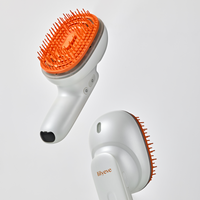 lilyeve Grow Turn Brush Steam Booster