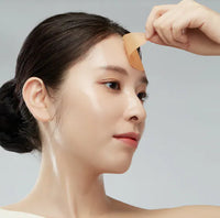 INCELLDERM Collagen 100 Melting Mask (5 sheets)