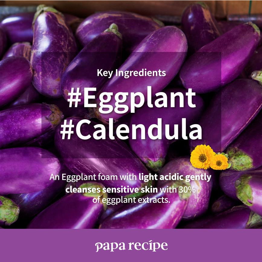 Papa Recipe Eggplant Clearing Mild Cleansing Foam 120ml - DODOSKIN