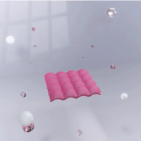 shurink RX Lifting Band Peptide 10 Sheets (5 Sheets × 2 Packs)