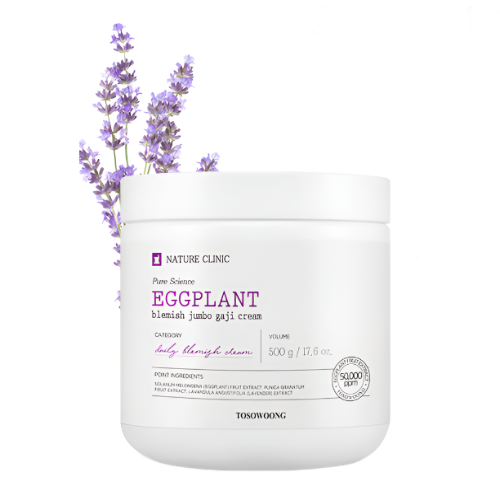 TOSOWOONG Eggplant Blemish Jumbo Gaji Cream 500g - DODOSKIN