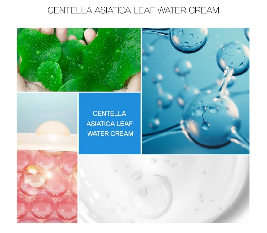 TOSOWOONG Centella Asiatica Leaf Water Cream 200ml - DODOSKIN