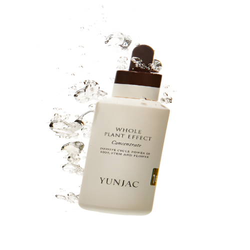 YUNJAC WHOLE PLANT EFFECT CONCENTRATE 75ml - DODOSKIN