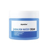 Daymellow Aqualron Watery Cream 300g - Dodoskin