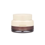 the SAEM Sooyeran Radiance Cream 60ml (Renewal)