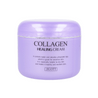 [US Exclusive] JIGOTT Collagen Healing Cream 100g - Dodoskin