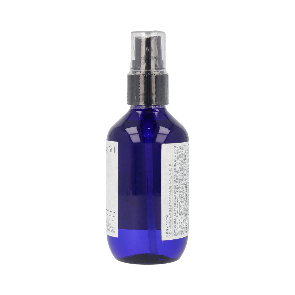 [US Exclusive] Pyunkang Yul Mist Toner 100ml - Dodoskin