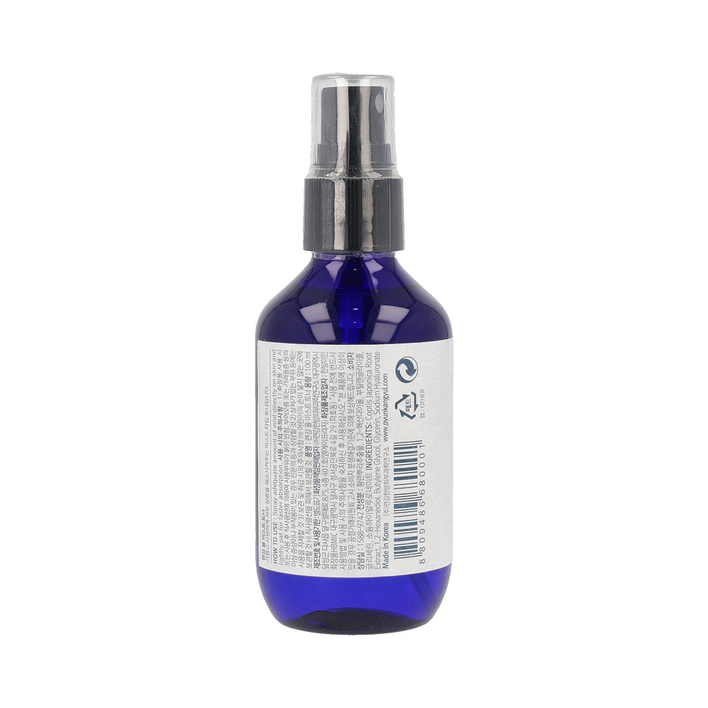 [US Exclusive] Pyunkang Yul Mist Toner 100ml - Dodoskin