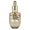 Sulwhasoo Concentrated Ginseng Rescue Ampoule 20g - Dodoskin