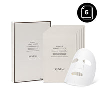 YUNJAC WHOLE PLANT EFFECT CONCENTRATE INTENSIVE MASK 20g * 6ea - Dodoskin